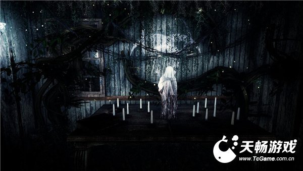 白色天堂VR1